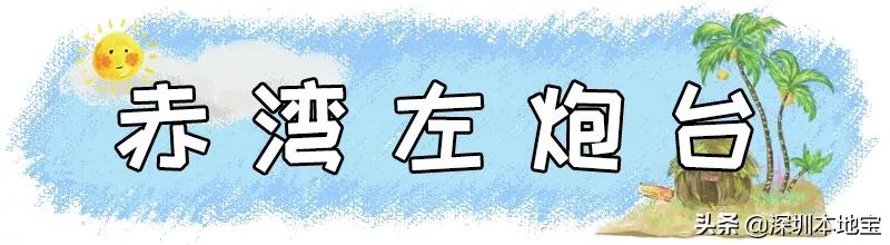 深圳有哪些地方免费景点,深圳都有什么景点免费游玩