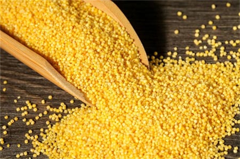 唐三镜酿酒真实案例,家庭黄酒酿酒的方法