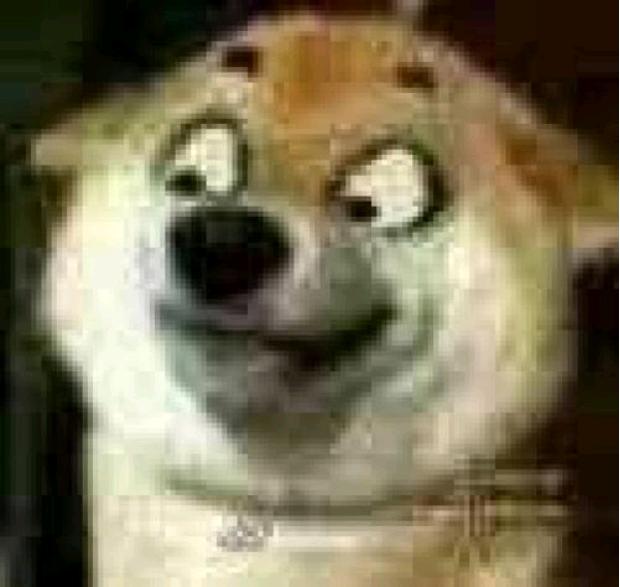 真实的日本趣事,日本的十大趣事