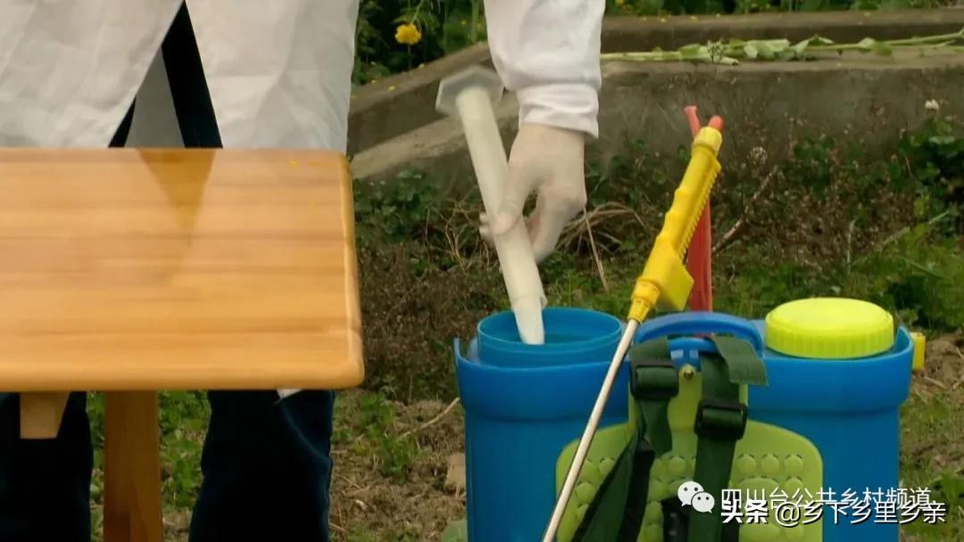 油菜得了病用什么药,油菜生病了怎么防治