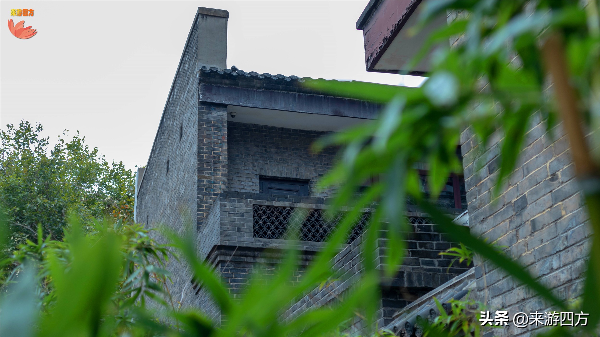 济南中山公园赏花,济南公园赏秋叶