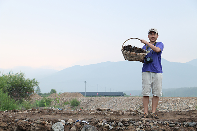 黑木耳培植的重点工作在哪里?3分钟让你掌握黑木耳的种植技术