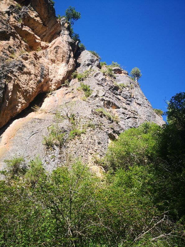 甘肃则岔石林旅游景区,则岔石林哪个漂亮