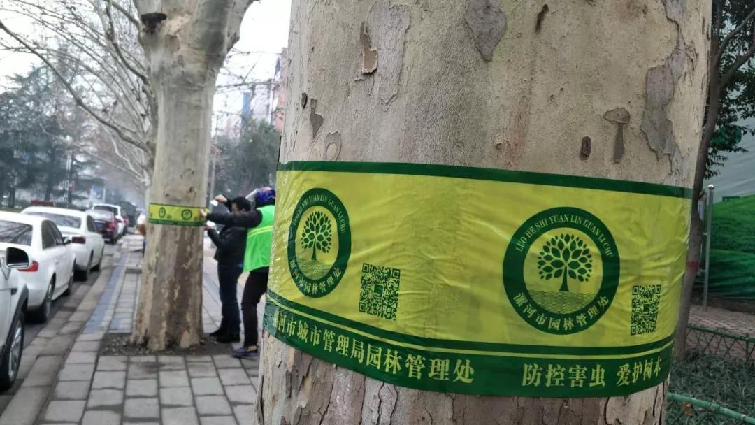 园林里面的虫子怎么治,苗木有虫子怎么办快速消灭