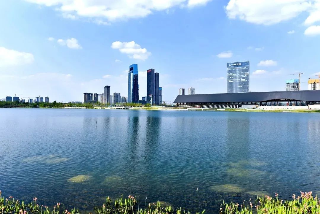 璇诲煄2019,鎴愰兘璇诲煄