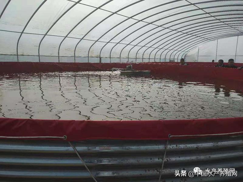 帆布池养殖需要注意什么,帆布池养殖要注意哪些