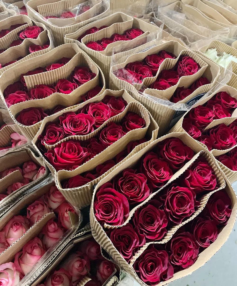 网上买东西怎么交智商税,网上买的智商税产品