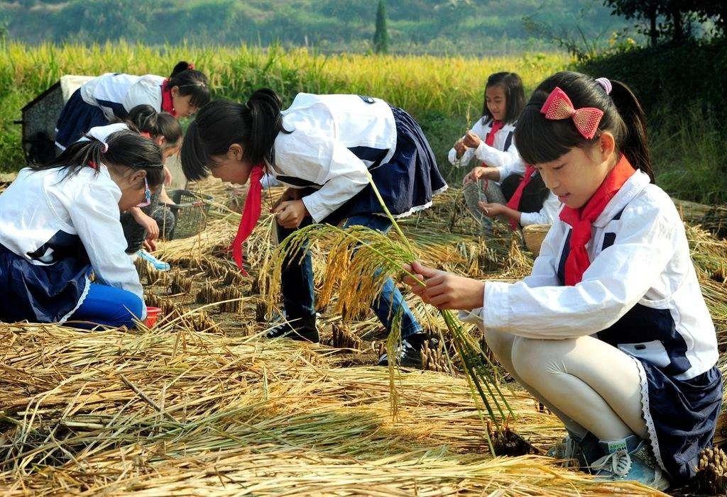 与农园联动、立专项法规、订行业标准，北京上海是这样开展食育的