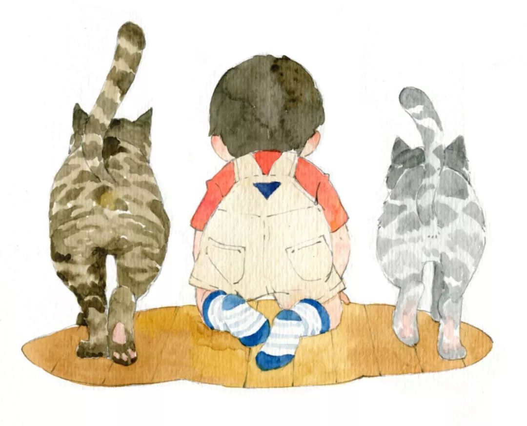 如何判断猫是饿还是饱,怎么判断猫对你有感情