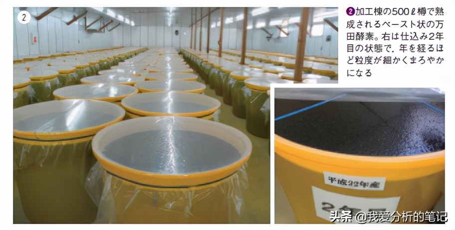 酵素行业发展前景及趋势分析,酵素产品价格现状与预测