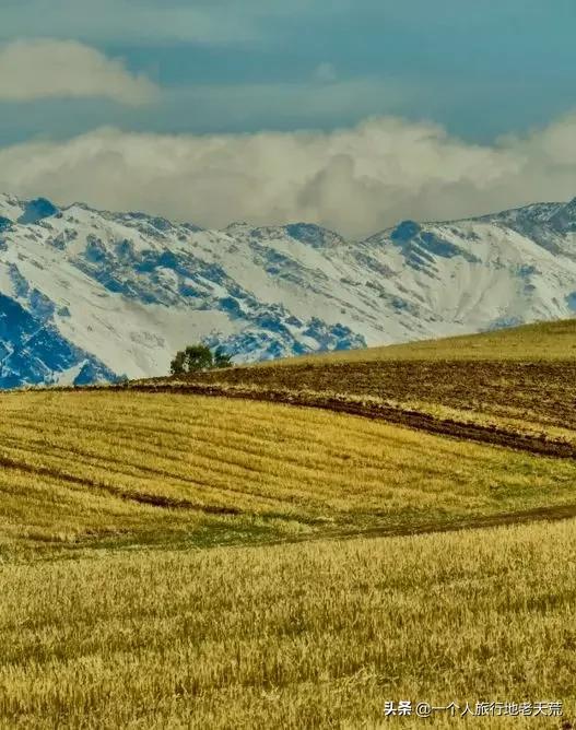 治愈系风景一辈子总要去一次新疆,去新疆的路上看不一样的风景