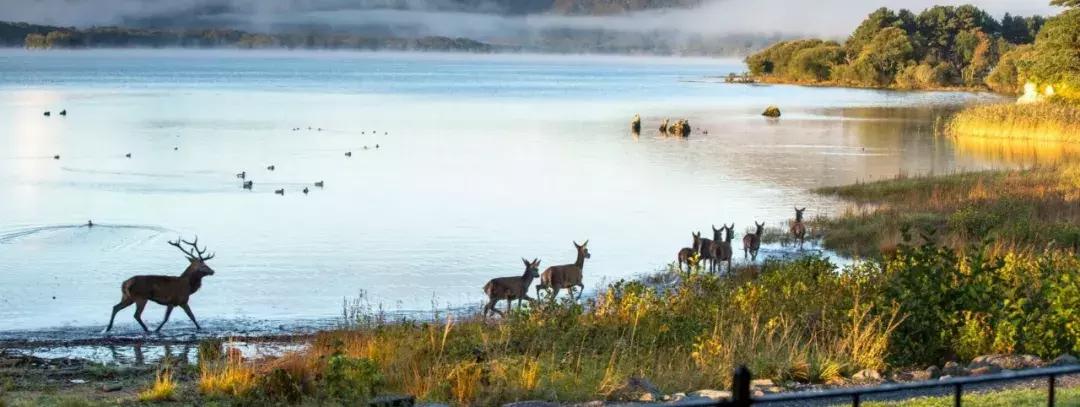 世界上唯一不允许结婚的国家,世界唯一一个不可以离婚的国家
