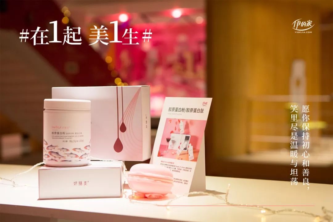 伊的家在哪里,对伊的家的评价