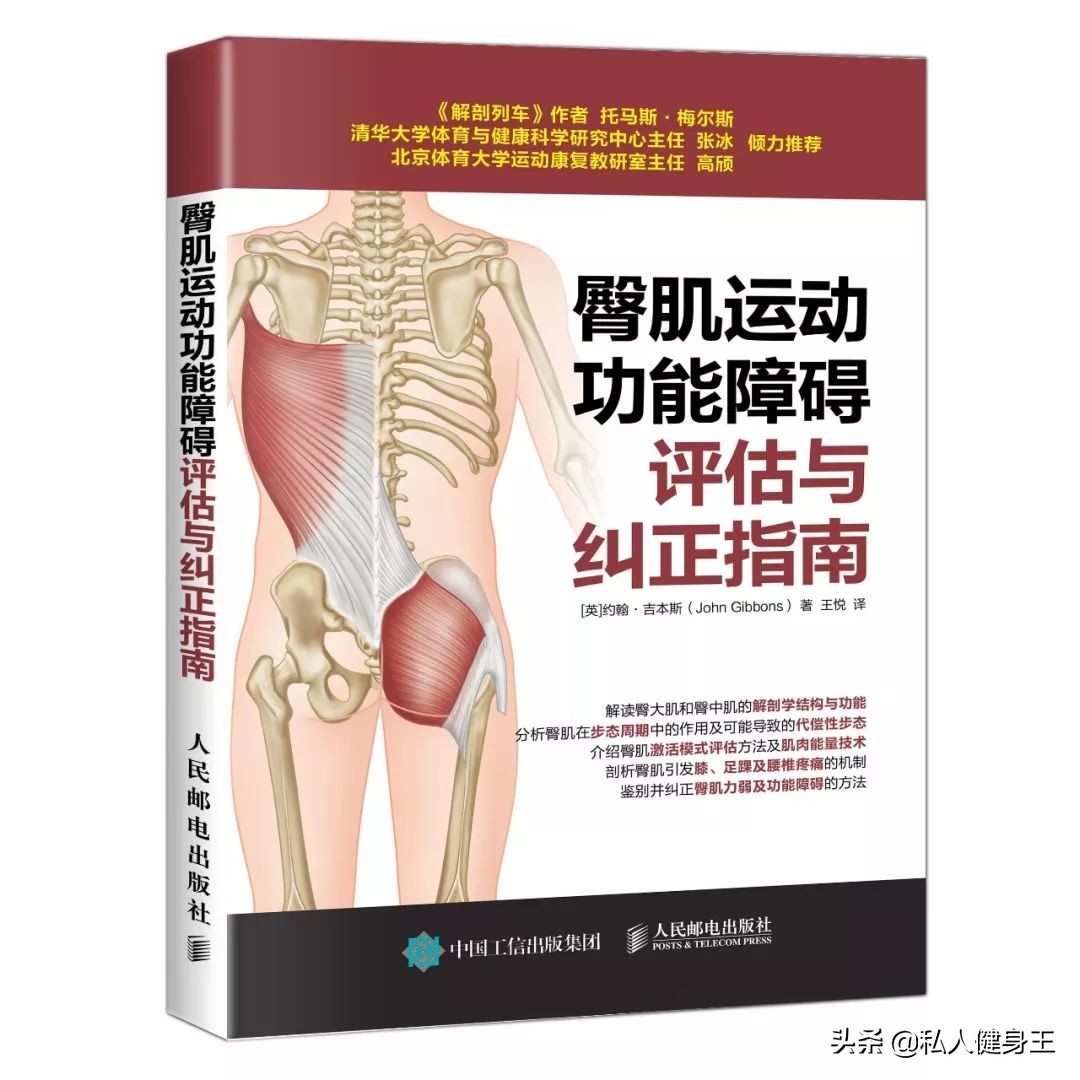 臀部无力原来是这个因素？健身大师教你改善臀部无力的问题