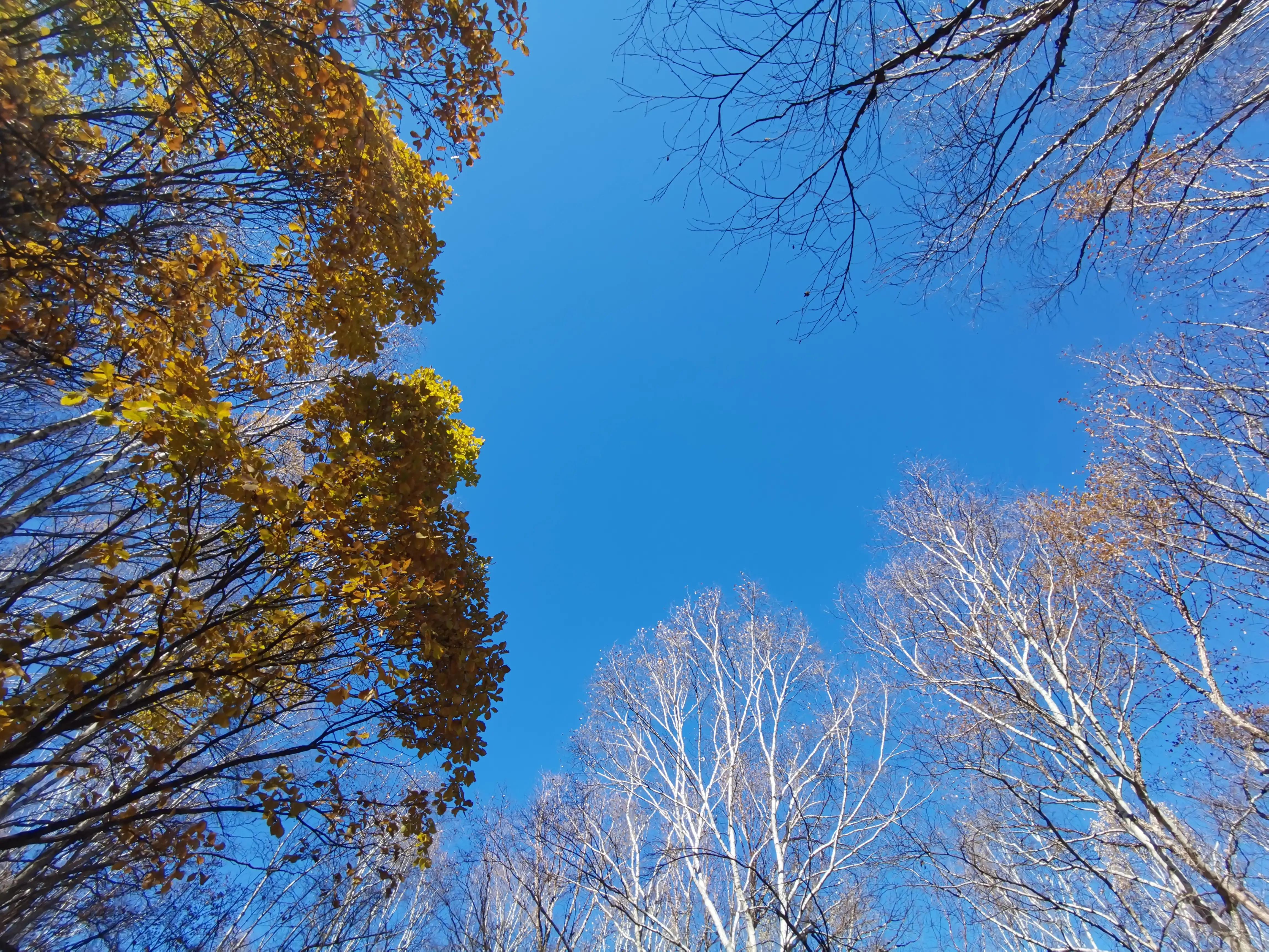 怀柔喇叭沟门原始森林2日自驾游,怀柔喇叭沟门原始森林骑行