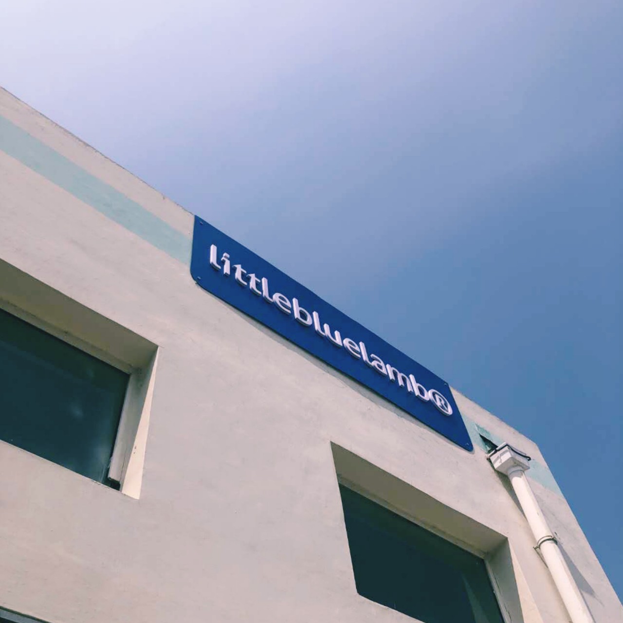 德训小蓝羊鞋子怎么样,最流行的德训鞋