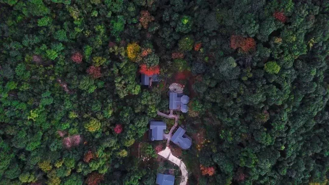 angelababy来呼市,angelababy溜娃