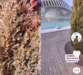 一场“闹剧”，全民狂欢，媒体盛宴，这事儿拍电影我看行