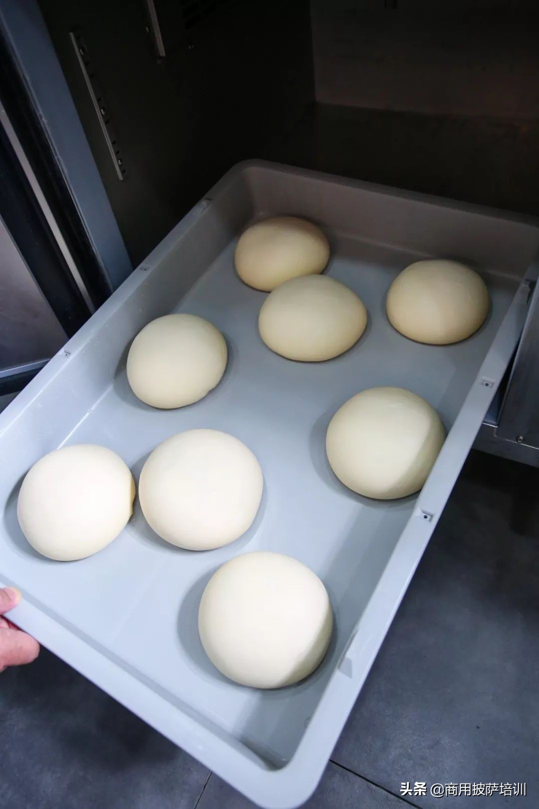 正宗冷藏发酵披萨面团,商用披萨面团制作教程