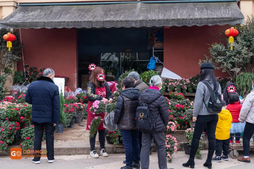重庆最大的花市在哪里,重庆花市排名前十名