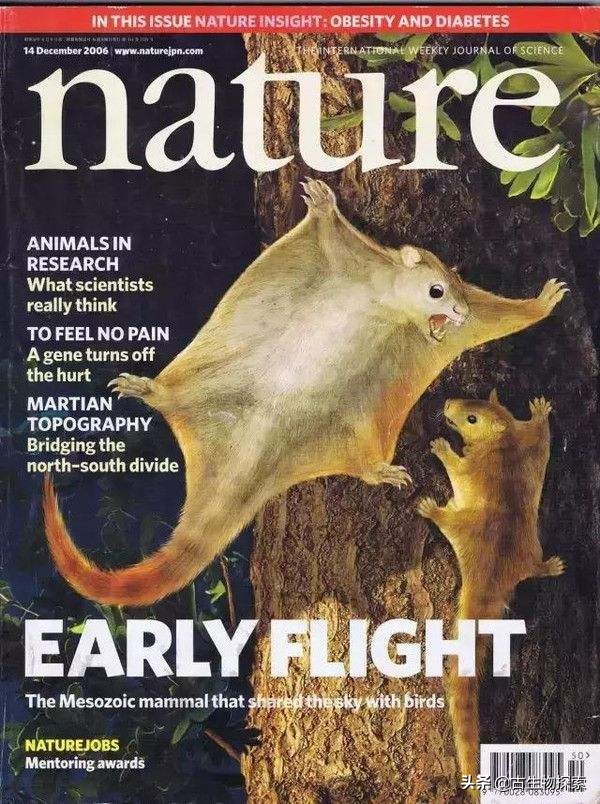 恐龙能不能复活,怎么让真的恐龙复活