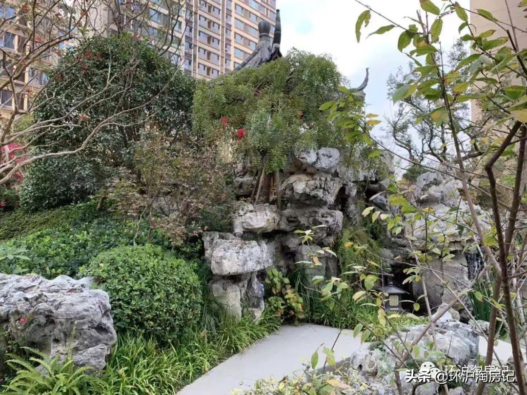 15号线到上海南站需要多久,15分钟到上海的高铁