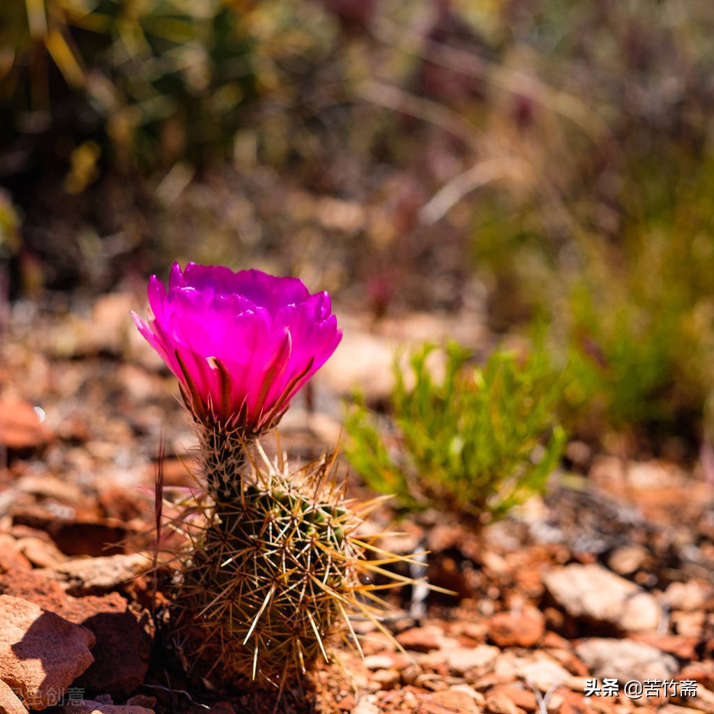 如何面对亲人对你的冷嘲热讽,如何正确的应对亲戚说教
