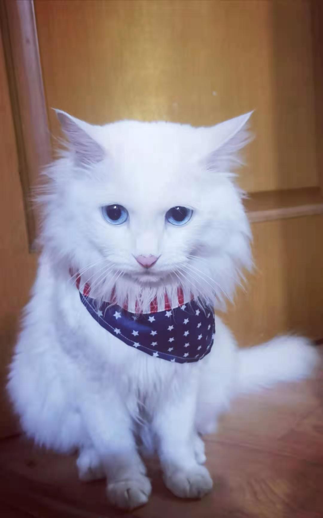 一个小细节能省几百块,一个小细节让你省上千块