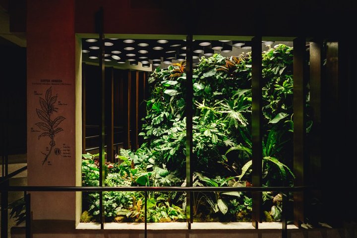 优衣库苹果,优衣库apple