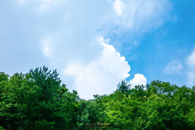 四川古蜀寻芳之幻梦朝天游玩攻略,都江堰古蜀寻芳