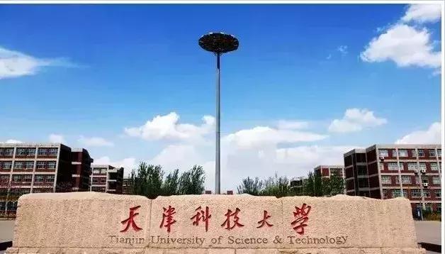 中国八大美术院校排名,中国前五美术大学