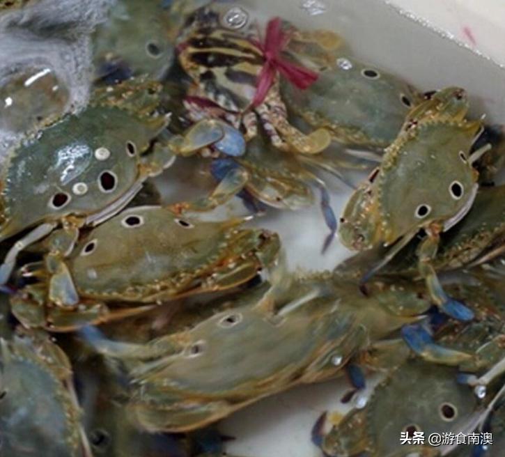 南澳岛看到的蟹是什么蟹,南澳蟹类大全