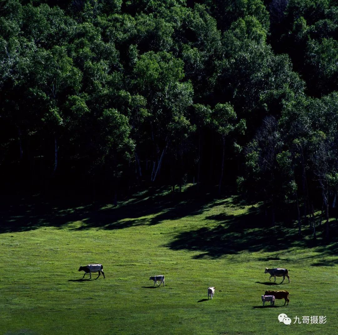 大美坝上草原全景,大美坝上风光系列之一