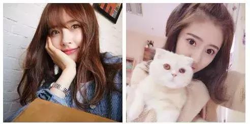 淘宝网红店铺同款不同价,淘宝网红店铺阿里货源