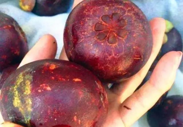 山竹怎么挑选5公6母,原来挑选山竹有技巧掌握好这四点