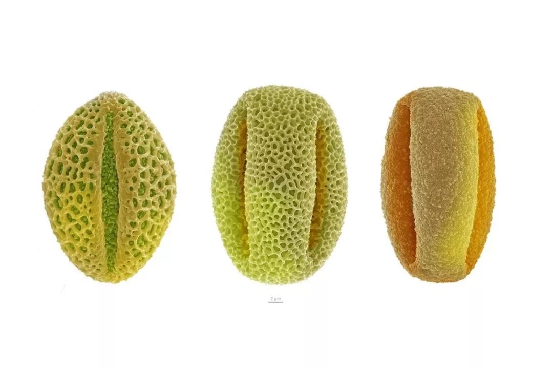 绉戠爺澹佺焊,绉戠爺浜虹殑鏂板勾澹佺焊