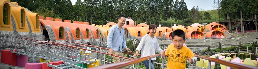 日本樱花现在还在开吗,日本樱花快要开放了吗