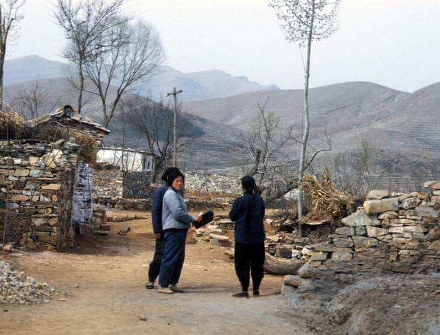 挂在嘴边的谚语,嘎查人口头禅