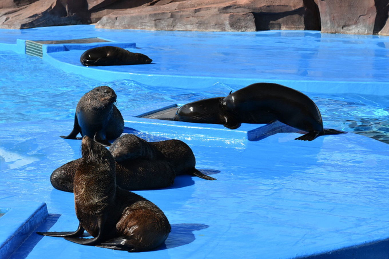 珠海长隆海洋王国攻略三天两夜,珠海长隆海洋王国必玩十大项目