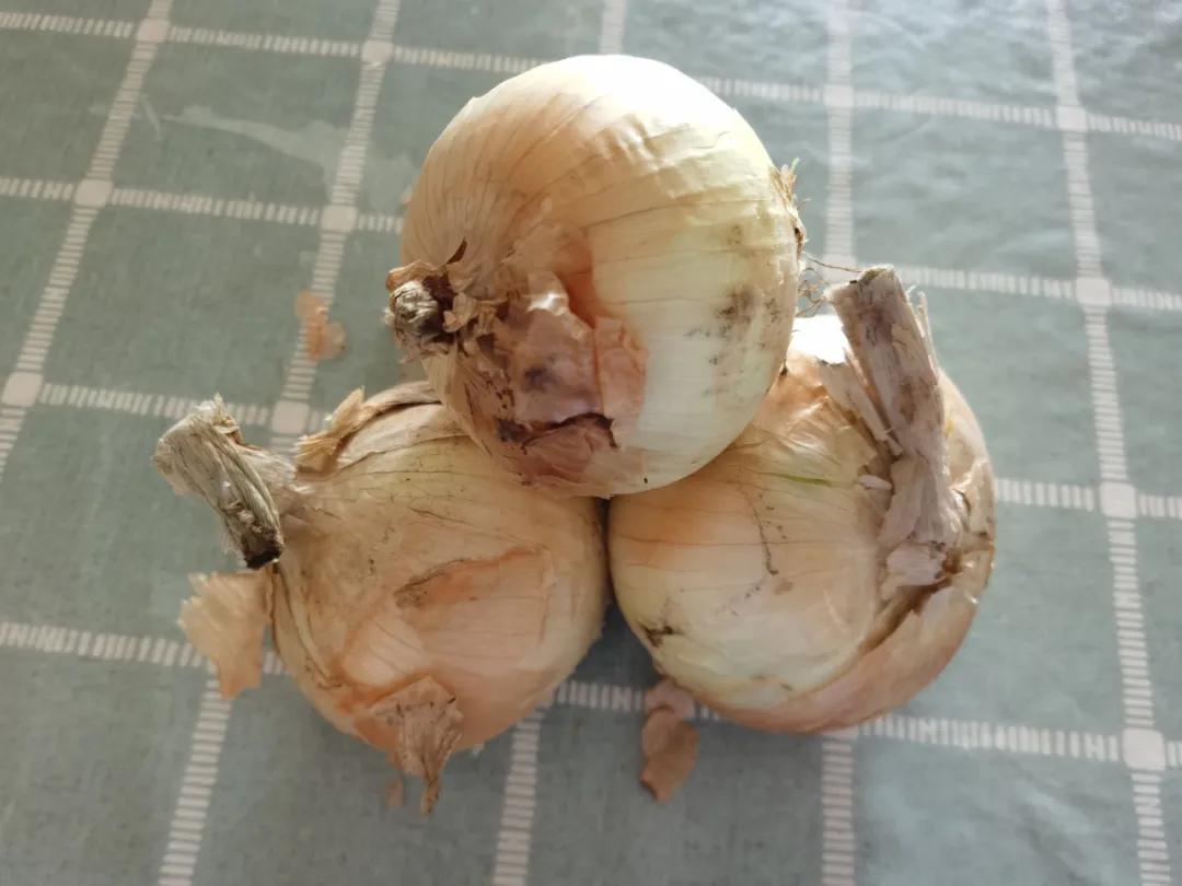 “太大了，立马下锅！”元谋出口级黄皮洋葱已到货，25万吨滞销洋葱等你来拼单！