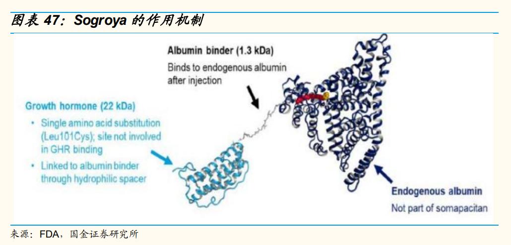 长春高新生长激素适应症,生长激素产业