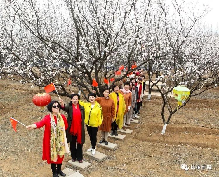 晋城哪里可以春游,晋城附近春游景点