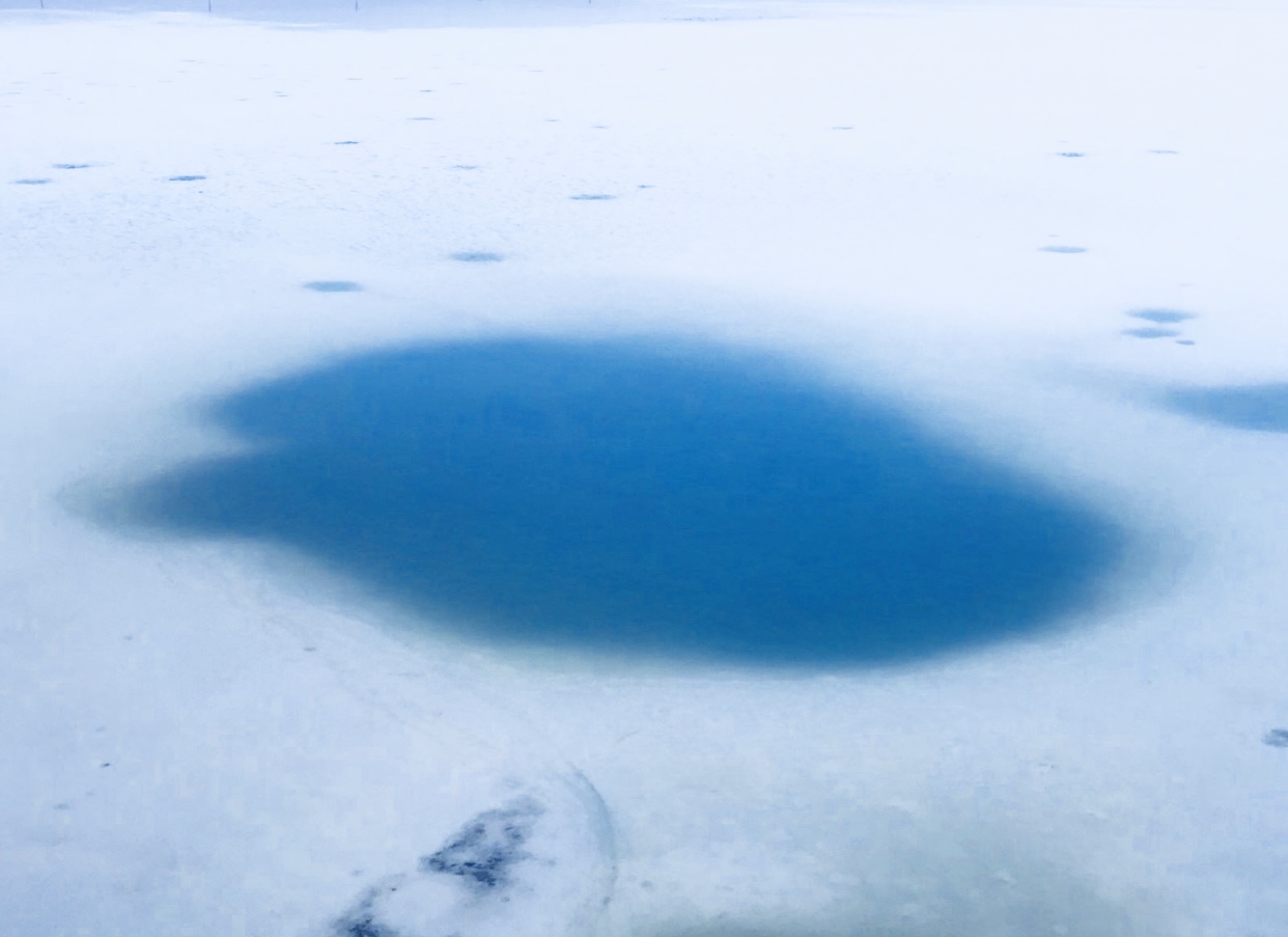 玩转西宁攻略,青海西宁之旅