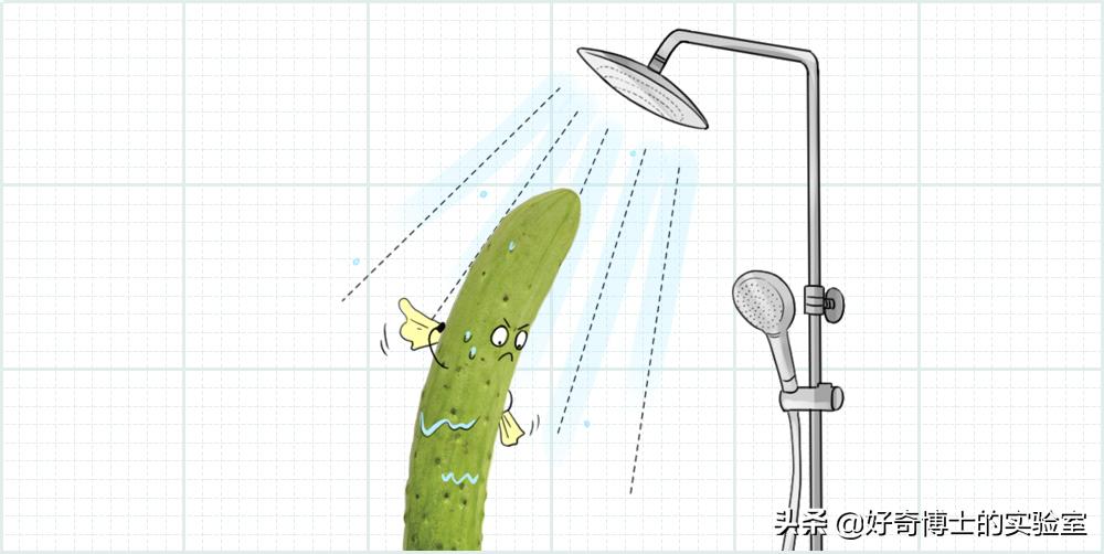 你对避孕套根本一无所知