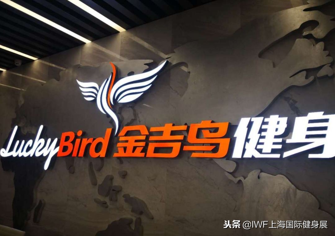 威尔士健身新品牌,威尔士健身增资