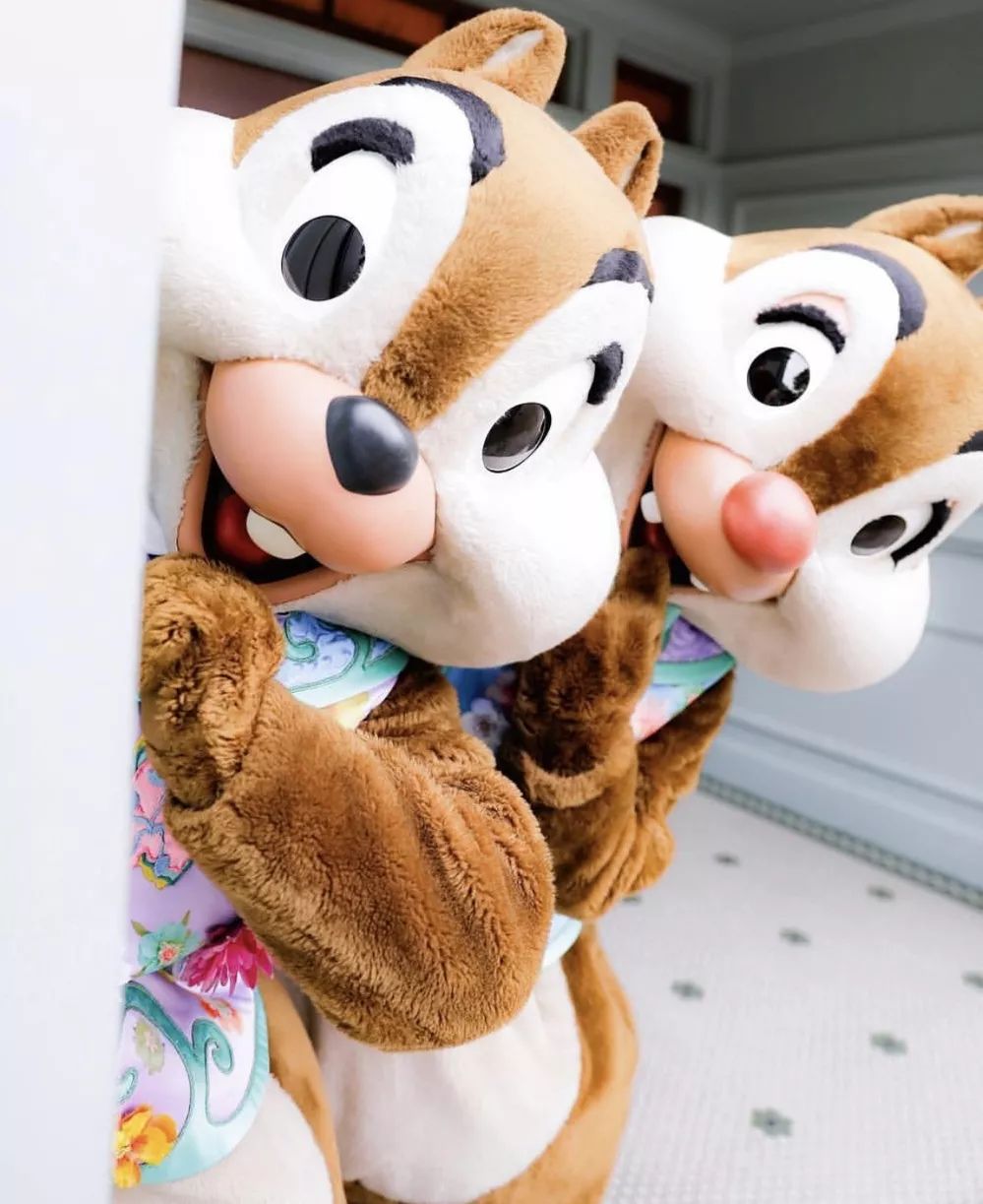 迪士尼必打卡的十个地方,打卡迪士尼纯玩三日