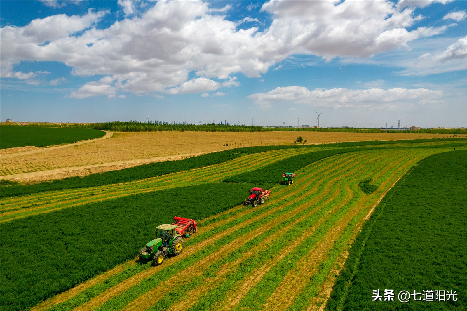 宁夏红寺堡玉米收割,宁夏红寺堡农活视频