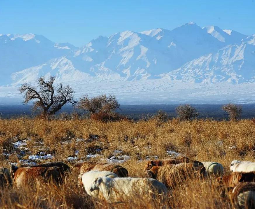 看看*疆新**哈密伊吾值不值得你去？,1