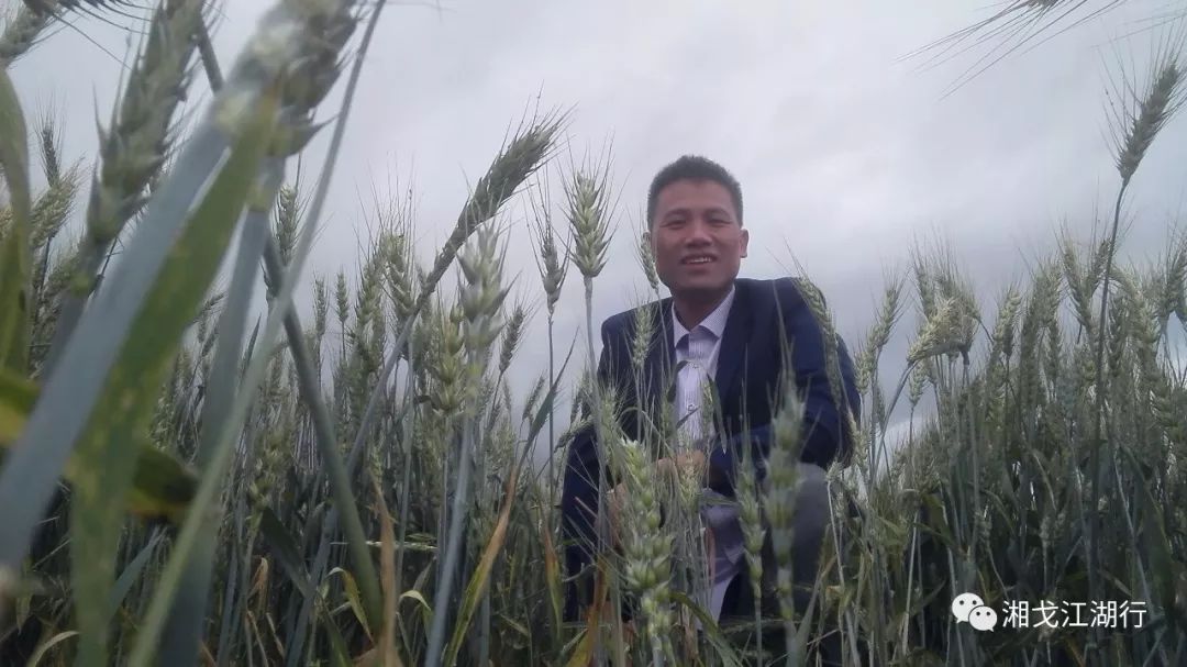 情殇英文歌,情殇粤语版