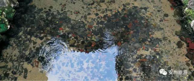 沸水何处觅芳踪？西游记里，白水湖边，灵秀呼之欲出